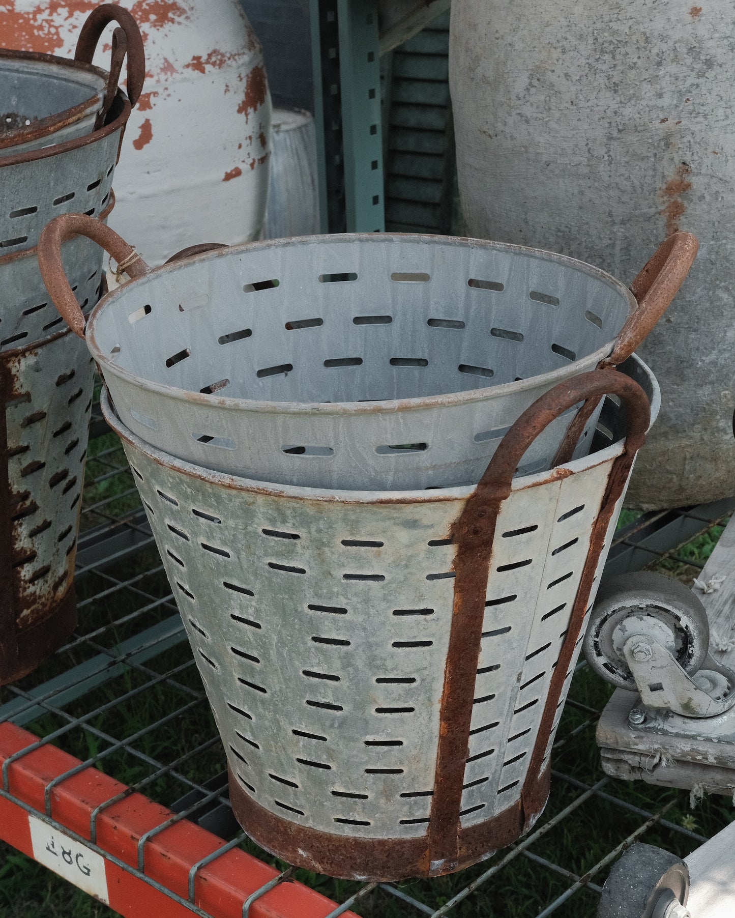 Vintage Mediterranean Olive Harvest Bucket