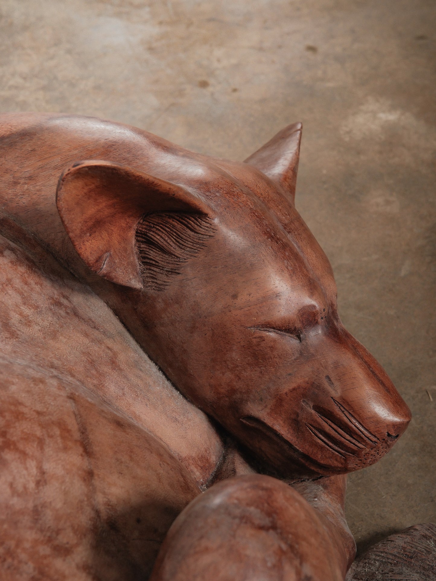 Hand-Carved Wooden Sleeping Dog Sculpture in Curled Form