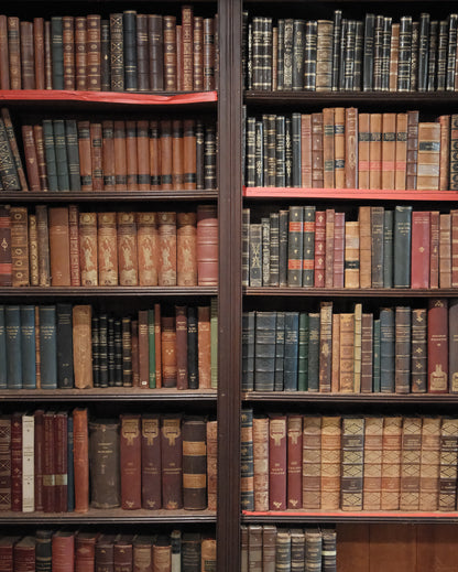 Antique European Books in Scandinavian Languages