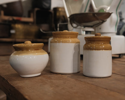 Mustard Jars
