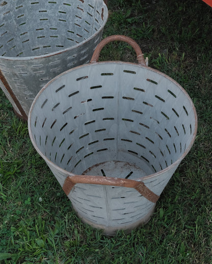 Vintage Mediterranean Olive Harvest Bucket