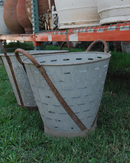 Vintage Mediterranean Olive Harvest Bucket