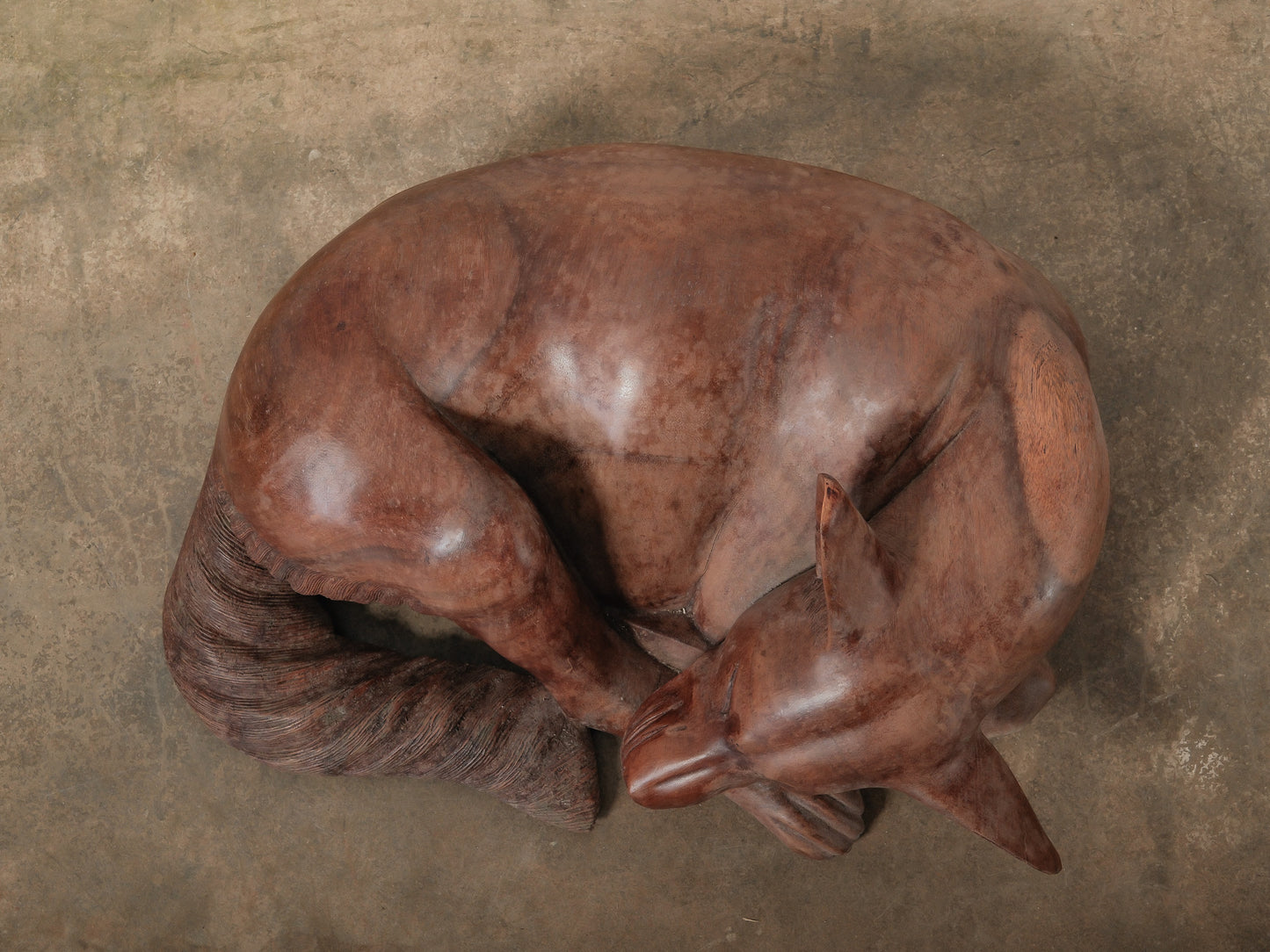 Hand-Carved Wooden Sleeping Dog Sculpture in Curled Form