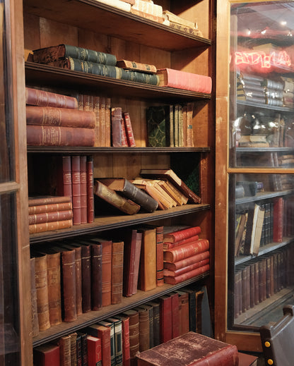Antique European Books in Scandinavian Languages