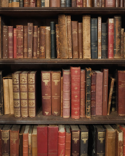 Antique European Books in Scandinavian Languages