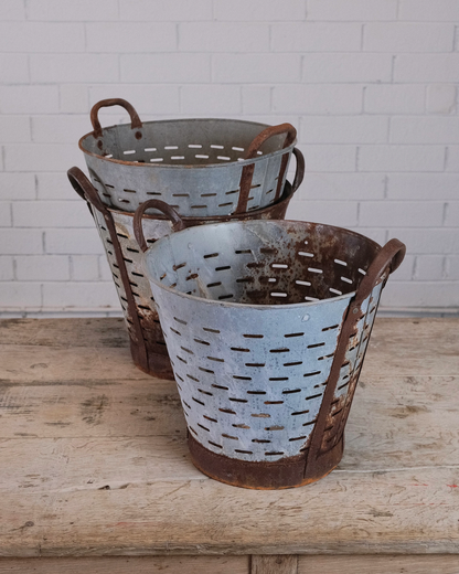 Vintage Mediterranean Olive Harvest Bucket