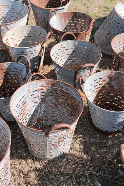 Vintage Mediterranean Olive Harvest Bucket