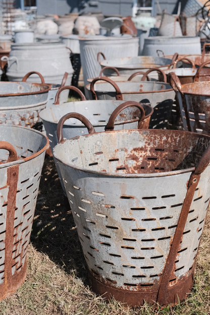 Vintage Mediterranean Olive Harvest Bucket