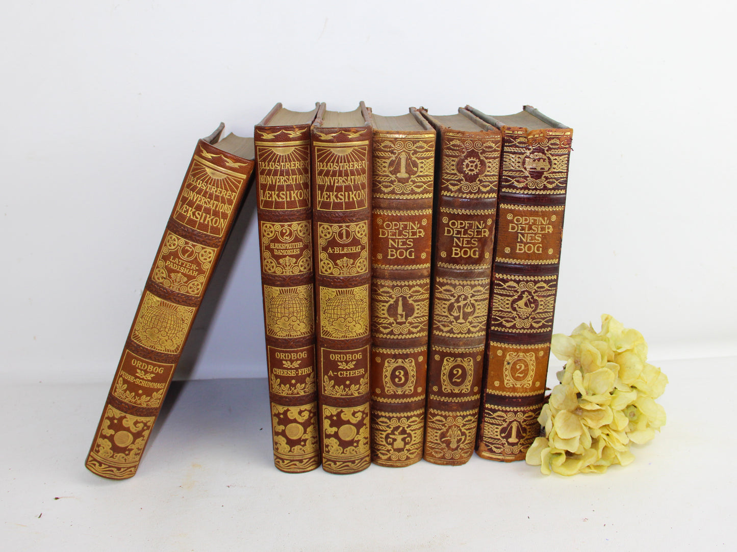 Antique Leather Bound Books-  Shabby Chic Decor Books