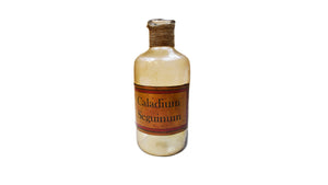 Calladium Segninum Apothecary Bottle | Farmhouse Living Room Accent Accessory
