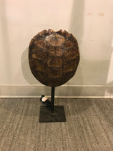 Load image into Gallery viewer, Turtle Shell Table Lamp